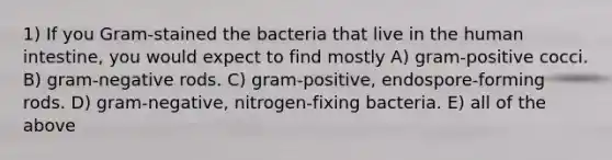 1) If you Gram-stained the bacteria that live in the human intestine, you would expect to find mostly A) gram-positive cocci. B) gram-negative rods. C) gram-positive, endospore-forming rods. D) gram-negative, nitrogen-fixing bacteria. E) all of the above