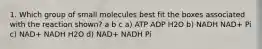 1. Which group of small molecules best fit the boxes associated with the reaction shown? a b c a) ATP ADP H2O b) NADH NAD+ Pi c) NAD+ NADH H2O d) NAD+ NADH Pi