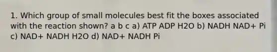 1. Which group of small molecules best fit the boxes associated with the reaction shown? a b c a) ATP ADP H2O b) NADH NAD+ Pi c) NAD+ NADH H2O d) NAD+ NADH Pi