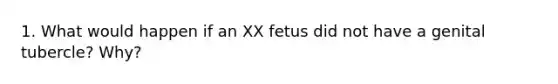 1. What would happen if an XX fetus did not have a genital tubercle? Why?