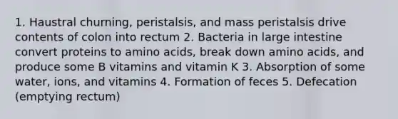 1. Haustral churning, peristalsis, and mass peristalsis drive contents of colon into rectum 2. Bacteria in large intestine convert proteins to amino acids, break down amino acids, and produce some B vitamins and vitamin K 3. Absorption of some water, ions, and vitamins 4. Formation of feces 5. Defecation (emptying rectum)