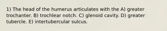 1) The head of the humerus articulates with the A) greater trochanter. B) trochlear notch. C) glenoid cavity. D) greater tubercle. E) intertubercular sulcus.