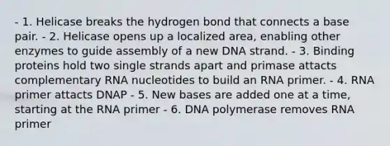 - 1. Helicase breaks the hydrogen bond that connects a base pair. - 2. Helicase opens up a localized area, enabling other enzymes to guide assembly of a new DNA strand. - 3. Binding proteins hold two single strands apart and primase attacts complementary RNA nucleotides to build an RNA primer. - 4. RNA primer attacts DNAP - 5. New bases are added one at a time, starting at the RNA primer - 6. DNA polymerase removes RNA primer