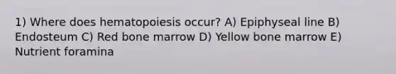 1) Where does hematopoiesis occur? A) Epiphyseal line B) Endosteum C) Red bone marrow D) Yellow bone marrow E) Nutrient foramina