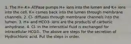 1. The H+-K+ ATPase pumps H+ ions into the lumen and K+ ions into the cell. K+ comes back into the lumen through membrane channels. 2. Cl- diffuses through membrane channels into the lumen. 3. H+ and HCO3- ions are the products of carbonic anhydrase. 4. Cl- in the interstitial fluid is exchanged for intracellular HCO3-. The above are steps for the secretion of Hydrochloric acid. Put the steps in order.