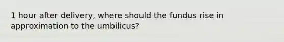 1 hour after delivery, where should the fundus rise in approximation to the umbilicus?