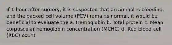 If 1 hour after surgery, it is suspected that an animal is bleeding, and the packed cell volume (PCV) remains normal, it would be beneficial to evaluate the a. Hemoglobin b. Total protein c. Mean corpuscular hemoglobin concentration (MCHC) d. Red blood cell (RBC) count