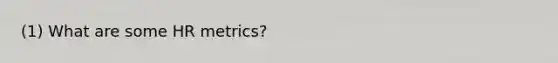 (1) What are some HR metrics?