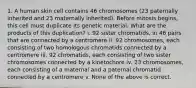 1. A human skin cell contains 46 chromosomes (23 paternally inherited and 23 maternally inherited). Before mitosis begins, this cell must duplicate its genetic material. What are the products of this duplication? i. 92 sister chromatids, in 46 pairs that are connected by a centromere ii. 92 chromosomes, each consisting of two homologous chromatids connected by a centromere iii. 92 chromatids, each consisting of two sister chromosomes connected by a kinetochore iv. 23 chromosomes, each consisting of a maternal and a paternal chromatid connected by a centromere v. None of the above is correct.