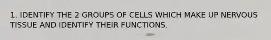 1. IDENTIFY THE 2 GROUPS OF CELLS WHICH MAKE UP NERVOUS TISSUE AND IDENTIFY THEIR FUNCTIONS.