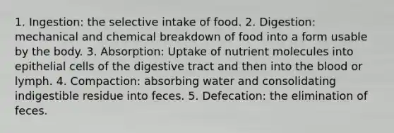 1. Ingestion: the selective intake of food. 2. Digestion: mechanical and chemical breakdown of food into a form usable by the body. 3. Absorption: Uptake of nutrient molecules into epithelial cells of the digestive tract and then into the blood or lymph. 4. Compaction: absorbing water and consolidating indigestible residue into feces. 5. Defecation: the elimination of feces.