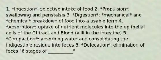 1. *Ingestion*: selective intake of food 2. *Propulsion*: swallowing and peristalsis 3. *Digestion*: *mechanical* and *chemical* breakdown of food into a usable form 4. *Absorption*: uptake of nutrient molecules into the epithelial cells of the GI tract and Blood (villi in the intestine) 5. *Compaction*: absorbing water and consolidating the indigestible residue into feces 6. *Defecation*: elimination of feces "6 stages of ___________"