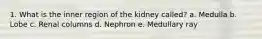 1. What is the inner region of the kidney called? a. Medulla b. Lobe c. Renal columns d. Nephron e. Medullary ray