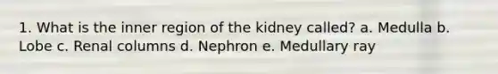 1. What is the inner region of the kidney called? a. Medulla b. Lobe c. Renal columns d. Nephron e. Medullary ray