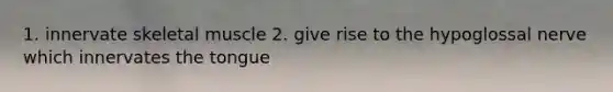 1. innervate skeletal muscle 2. give rise to the hypoglossal nerve which innervates the tongue