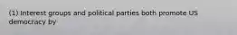 (1) Interest groups and political parties both promote US democracy by