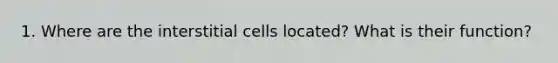 1. Where are the interstitial cells located? What is their function?