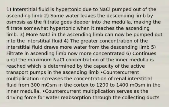 1) Interstitial fluid is hypertonic due to NaCl pumped out of the ascending limb 2) Some water leaves the descending limb by osmosis as the filtrate goes deeper into the medulla, making the filtrate somewhat hypertonic when it reaches the ascending limb. 3) More NaCl in the ascending limb can now be pumped out into the interstitial fluid 4) The greater concentration of the interstitial fluid draws more water from the descending limb 5) Filtrate in ascending limb now more concentrated 6) Continues until the maximum NaCl concentration of the inner medulla is reached which is determined by the capacity of the active transport pumps in the ascending limb •Countercurrent multiplication increases the concentration of renal interstitial fluid from 300 mOsm in the cortex to 1200 to 1400 mOsm in the inner medulla. •Countercurrent multiplication serves as the driving force for water reabsorption through the collecting ducts