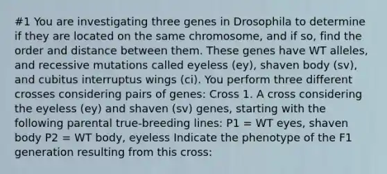 #1 You are investigating three genes in Drosophila to determine if they are located on the same chromosome, and if so, find the order and distance between them. These genes have WT alleles, and recessive mutations called eyeless (ey), shaven body (sv), and cubitus interruptus wings (ci). You perform three different crosses considering pairs of genes: Cross 1. A cross considering the eyeless (ey) and shaven (sv) genes, starting with the following parental true-breeding lines: P1 = WT eyes, shaven body P2 = WT body, eyeless Indicate the phenotype of the F1 generation resulting from this cross: