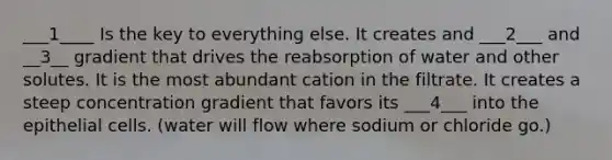 ___1____ Is the key to everything else. It creates and ___2___ and __3__ gradient that drives the reabsorption of water and other solutes. It is the most abundant cation in the filtrate. It creates a steep concentration gradient that favors its ___4___ into the epithelial cells. (water will flow where sodium or chloride go.)
