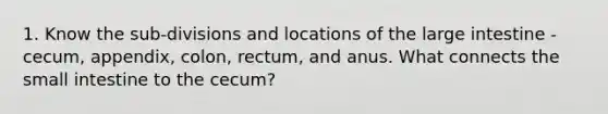 1. Know the sub-divisions and locations of the large intestine - cecum, appendix, colon, rectum, and anus. What connects the small intestine to the cecum?