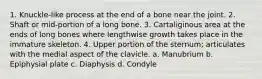 1. Knuckle-like process at the end of a bone near the joint. 2. Shaft or mid-portion of a long bone. 3. Cartaliginous area at the ends of long bones where lengthwise growth takes place in the immature skeleton. 4. Upper portion of the sternum; articulates with the medial aspect of the clavicle. a. Manubrium b. Epiphysial plate c. Diaphysis d. Condyle