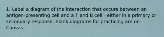 1. Label a diagram of the interaction that occurs between an antigen-presenting cell and a T and B cell - either in a primary or secondary response. Blank diagrams for practicing are on Canvas.