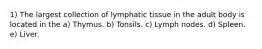 1) The largest collection of lymphatic tissue in the adult body is located in the a) Thymus. b) Tonsils. c) Lymph nodes. d) Spleen. e) Liver.