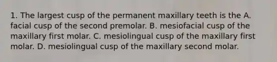 1. The largest cusp of the permanent maxillary teeth is the A. facial cusp of the second premolar. B. mesiofacial cusp of the maxillary first molar. C. mesiolingual cusp of the maxillary first molar. D. mesiolingual cusp of the maxillary second molar.