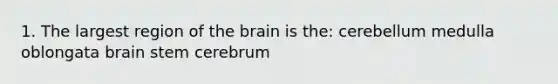 1. The largest region of the brain is the: cerebellum medulla oblongata brain stem cerebrum