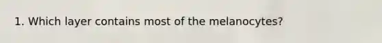 1. Which layer contains most of the melanocytes?