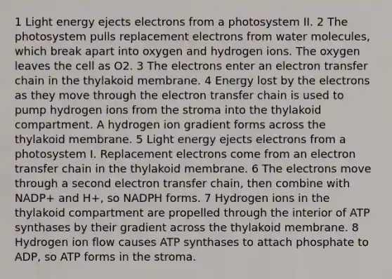 1 Light energy ejects electrons from a photosystem II. 2 The photosystem pulls replacement electrons from water molecules, which break apart into oxygen and hydrogen ions. The oxygen leaves the cell as O2. 3 The electrons enter an <a href='https://www.questionai.com/knowledge/kzP6QOcY63-electron-transfer' class='anchor-knowledge'>electron transfer</a> chain in the thylakoid membrane. 4 Energy lost by the electrons as they move through the electron transfer chain is used to pump hydrogen ions from the stroma into the thylakoid compartment. A hydrogen ion gradient forms across the thylakoid membrane. 5 Light energy ejects electrons from a photosystem I. Replacement electrons come from an electron transfer chain in the thylakoid membrane. 6 The electrons move through a second electron transfer chain, then combine with NADP+ and H+, so NADPH forms. 7 Hydrogen ions in the thylakoid compartment are propelled through the interior of ATP synthases by their gradient across the thylakoid membrane. 8 Hydrogen ion flow causes ATP synthases to attach phosphate to ADP, so ATP forms in the stroma.