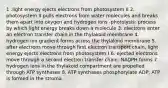 1 .light energy ejects electrons from photosystem II 2. photosystem II pulls electrons from water molecules and breaks them apart into oxygen and hydrogen ions -photolysis: process by which light energy breaks down a molecule 3. electrons enter an electron transfer chain in the thylakoid membrane 4. hydrogen ion gradient forms across the thylakoid membrane 5. after electrons move through first electron transport chain, light energy ejects electrons from photosystem I 6. ejected electrons move through a second electron transfer chain; NADPH forms 7. hydrogen ions in the thylakoid compartment are propelled through ATP synthases 8. ATP synthases phosphorylate ADP; ATP is formed in the stroma