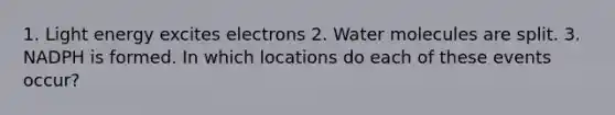 1. Light energy excites electrons 2. Water molecules are split. 3. NADPH is formed. In which locations do each of these events occur?