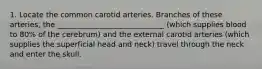 1. Locate the common carotid arteries. Branches of these arteries, the _____________________________ (which supplies blood to 80% of the cerebrum) and the external carotid arteries (which supplies the superficial head and neck) travel through the neck and enter the skull.