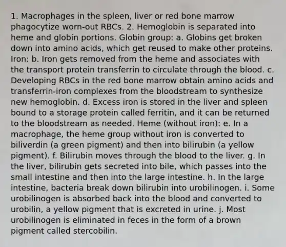 1. Macrophages in the spleen, liver or red bone marrow phagocytize worn-out RBCs. 2. Hemoglobin is separated into heme and globin portions. Globin group: a. Globins get broken down into amino acids, which get reused to make other proteins. Iron: b. Iron gets removed from the heme and associates with the transport protein transferrin to circulate through the blood. c. Developing RBCs in the red bone marrow obtain amino acids and transferrin-iron complexes from the bloodstream to synthesize new hemoglobin. d. Excess iron is stored in the liver and spleen bound to a storage protein called ferritin, and it can be returned to the bloodstream as needed. Heme (without iron): e. In a macrophage, the heme group without iron is converted to biliverdin (a green pigment) and then into bilirubin (a yellow pigment). f. Bilirubin moves through the blood to the liver. g. In the liver, bilirubin gets secreted into bile, which passes into the small intestine and then into the large intestine. h. In the large intestine, bacteria break down bilirubin into urobilinogen. i. Some urobilinogen is absorbed back into the blood and converted to urobilin, a yellow pigment that is excreted in urine. j. Most urobilinogen is eliminated in feces in the form of a brown pigment called stercobilin.