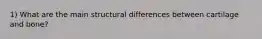 1) What are the main structural differences between cartilage and bone?