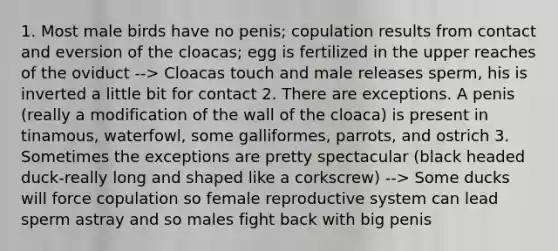 1. Most male birds have no penis; copulation results from contact and eversion of the cloacas; egg is fertilized in the upper reaches of the oviduct --> Cloacas touch and male releases sperm, his is inverted a little bit for contact 2. There are exceptions. A penis (really a modification of the wall of the cloaca) is present in tinamous, waterfowl, some galliformes, parrots, and ostrich 3. Sometimes the exceptions are pretty spectacular (black headed duck-really long and shaped like a corkscrew) --> Some ducks will force copulation so <a href='https://www.questionai.com/knowledge/kGn6bIpZ8k-female-reproductive-system' class='anchor-knowledge'>female reproductive system</a> can lead sperm astray and so males fight back with big penis