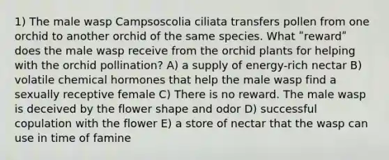 1) The male wasp Campsoscolia ciliata transfers pollen from one orchid to another orchid of the same species. What ʺrewardʺ does the male wasp receive from the orchid plants for helping with the orchid pollination? A) a supply of energy-rich nectar B) volatile chemical hormones that help the male wasp find a sexually receptive female C) There is no reward. The male wasp is deceived by the flower shape and odor D) successful copulation with the flower E) a store of nectar that the wasp can use in time of famine