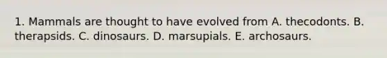 1. Mammals are thought to have evolved from A. thecodonts. B. therapsids. C. dinosaurs. D. marsupials. E. archosaurs.