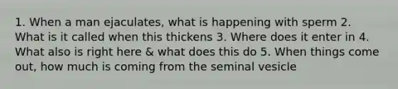 1. When a man ejaculates, what is happening with sperm 2. What is it called when this thickens 3. Where does it enter in 4. What also is right here & what does this do 5. When things come out, how much is coming from the seminal vesicle