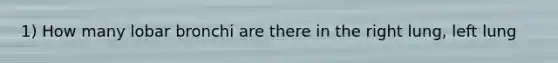 1) How many lobar bronchi are there in the right lung, left lung