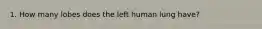 1. How many lobes does the left human lung have?