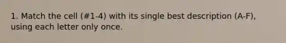 1. Match the cell (#1-4) with its single best description (A-F), using each letter only once.