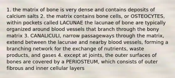 1. the matrix of bone is very dense and contains deposits of calcium salts 2. the matrix contains bone cells, or OSTEOCYTES, within pockets called LACUNAE the lacunae of bone are typically organized around blood vessels that branch through the bony matrix 3. CANALICULI, narrow passageways through the matrix, extend between the lacunae and nearby blood vessels, forming a branching network for the exchange of nutrients, waste products, and gases 4. except at joints, the outer surfaces of bones are covered by a PERIOSTEUM, which consists of outer fibrous and inner cellular layers