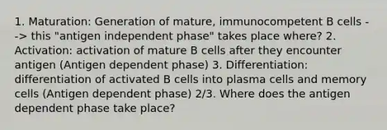 1. Maturation: Generation of mature, immunocompetent B cells --> this "antigen independent phase" takes place where? 2. Activation: activation of mature B cells after they encounter antigen (Antigen dependent phase) 3. Differentiation: differentiation of activated B cells into plasma cells and memory cells (Antigen dependent phase) 2/3. Where does the antigen dependent phase take place?