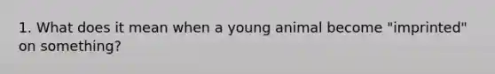 1. What does it mean when a young animal become "imprinted" on something?