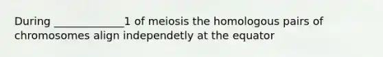 During _____________1 of meiosis the homologous pairs of chromosomes align independetly at the equator