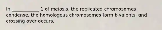 In ____________ 1 of meiosis, the replicated chromosomes condense, the homologous chromosomes form bivalents, and crossing over occurs.