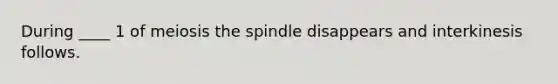 During ____ 1 of meiosis the spindle disappears and interkinesis follows.